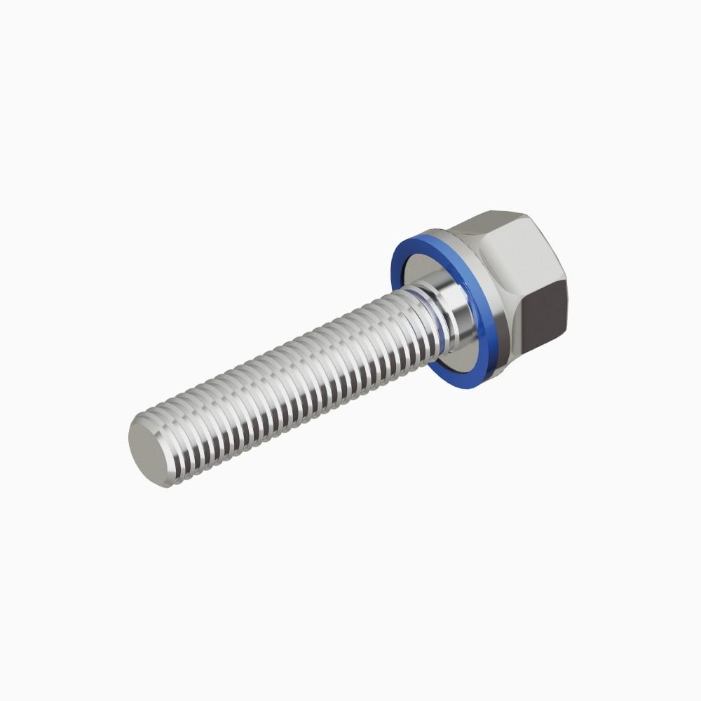 Certified hygienic screw|I | Accessories > Fasteners & Tools | Hygienic screw | Cover Image